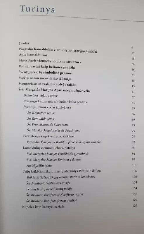 Kelionė į Ramybės kalną. Pažaislio kamaldulių vienuolyno dailės ikonologija - Laima Šinkūnaitė, knyga 3