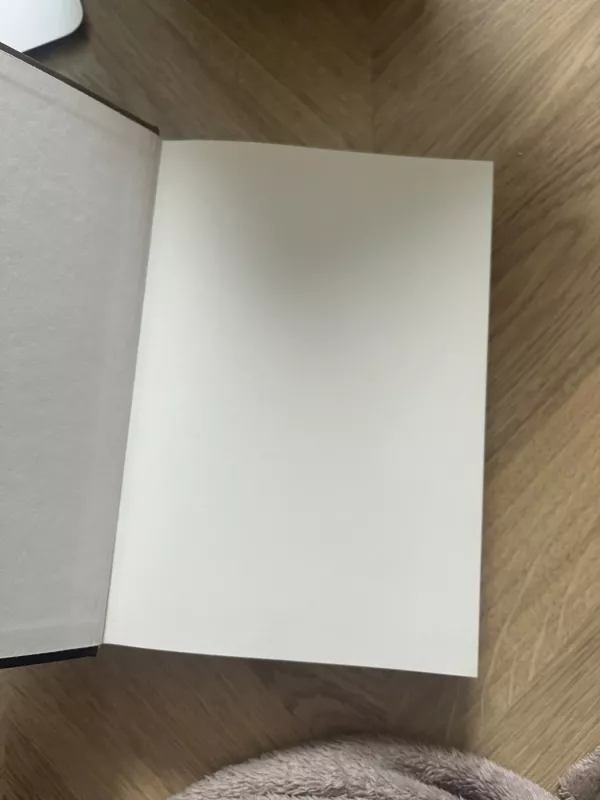 Ką nakčiai skolinga diena - Yasmina Khadra, knyga 4