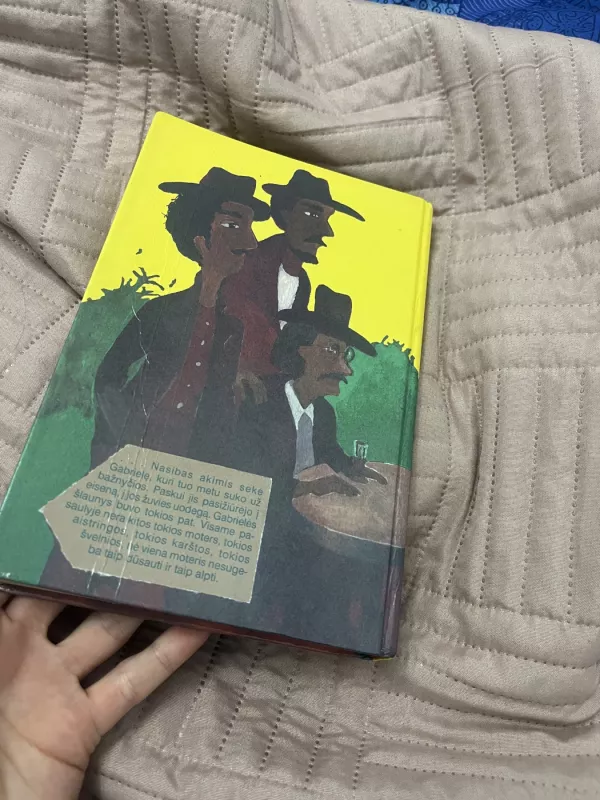 Gabrielė - Žoržis Amadus, knyga 4