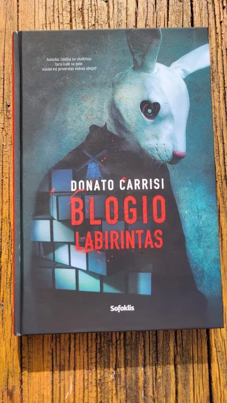 Blogio labirintas - Donato Carrisi, knyga 2