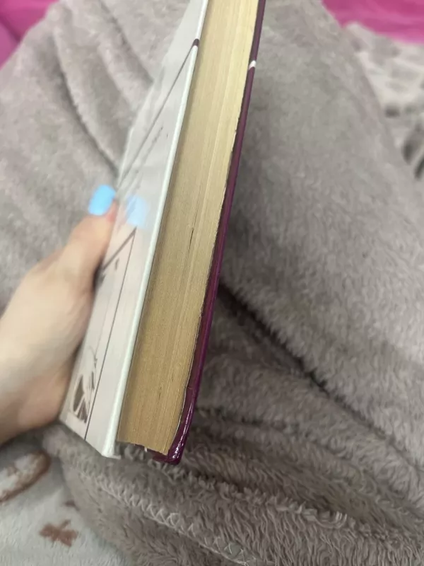 Iliuzijų mugėje - Laimonas Tapinas, knyga 5