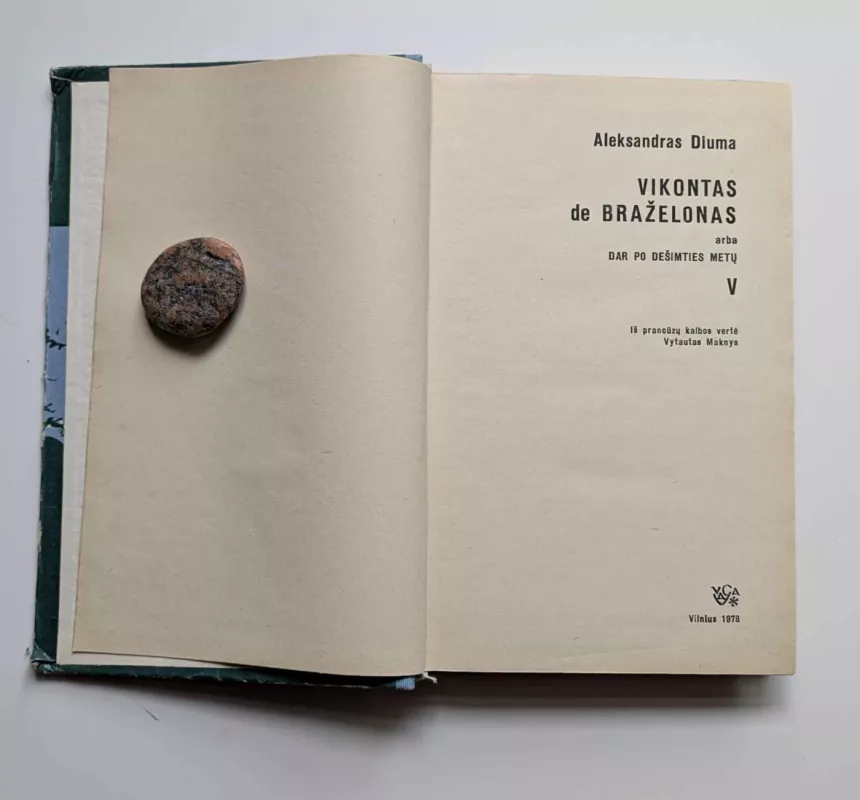 Vikontas de Braželonas (5 dalis) - Aleksandras Diuma, knyga 3