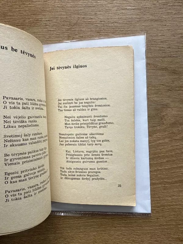 Eilėraščiai iš užjūrio - Marija Černeckaitė- Aukščiunienė, knyga 3