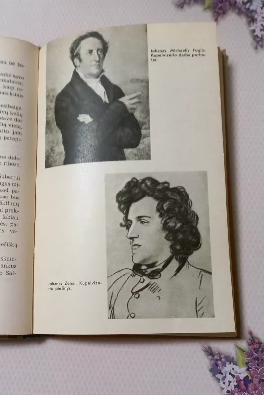 Šubertas - Borisas Kremniovas, knyga 4