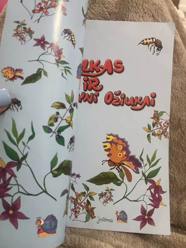 Vilkas ir septyni ožiukai - Autorių Kolektyvas, knyga 4