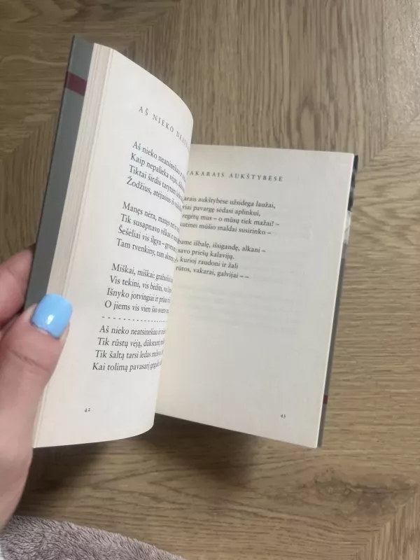 Ir kaip akmens tyla - Jonas Balčius, knyga 4