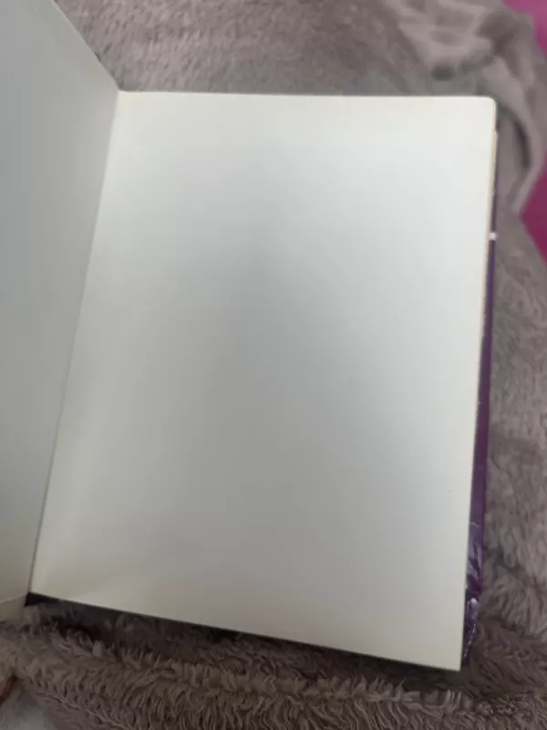 Iliuzijų mugėje - Laimonas Tapinas, knyga 3