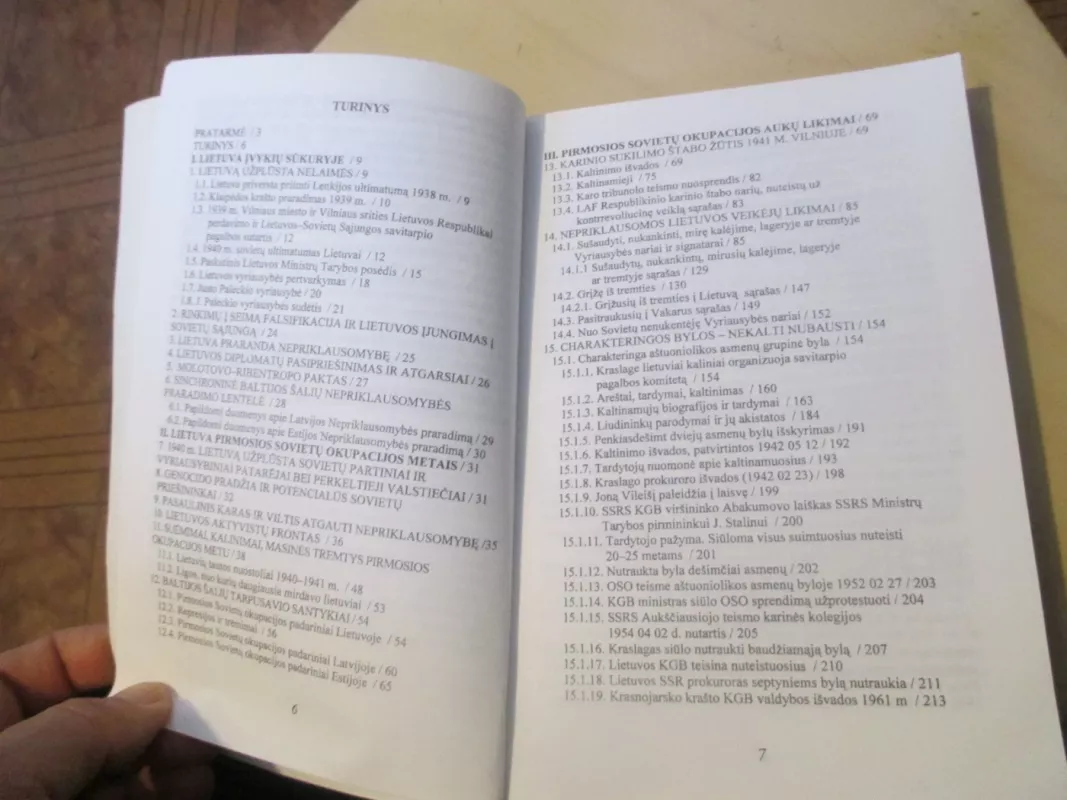 DIDŽIOSIOS TAUTOS AUKOS - Viktoras Ašmenskas, knyga 6