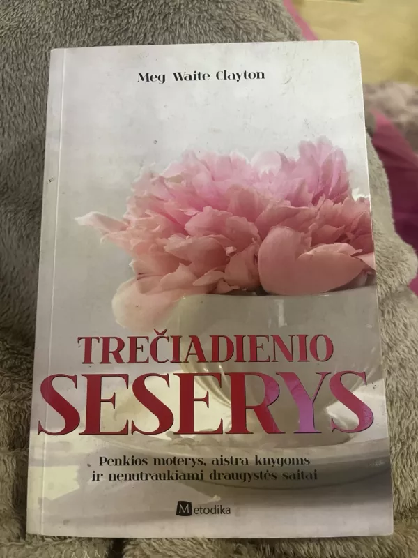 Trečiadienio seserys - Meg Waite Clayton, knyga 2