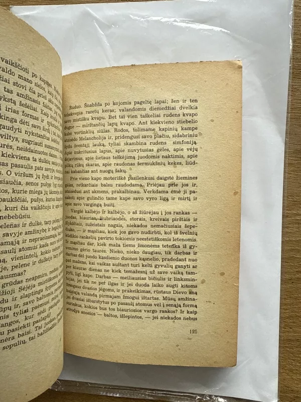 Sename dvare -  Šatrijos Ragana, knyga 6