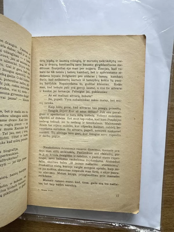 Sename dvare -  Šatrijos Ragana, knyga 4