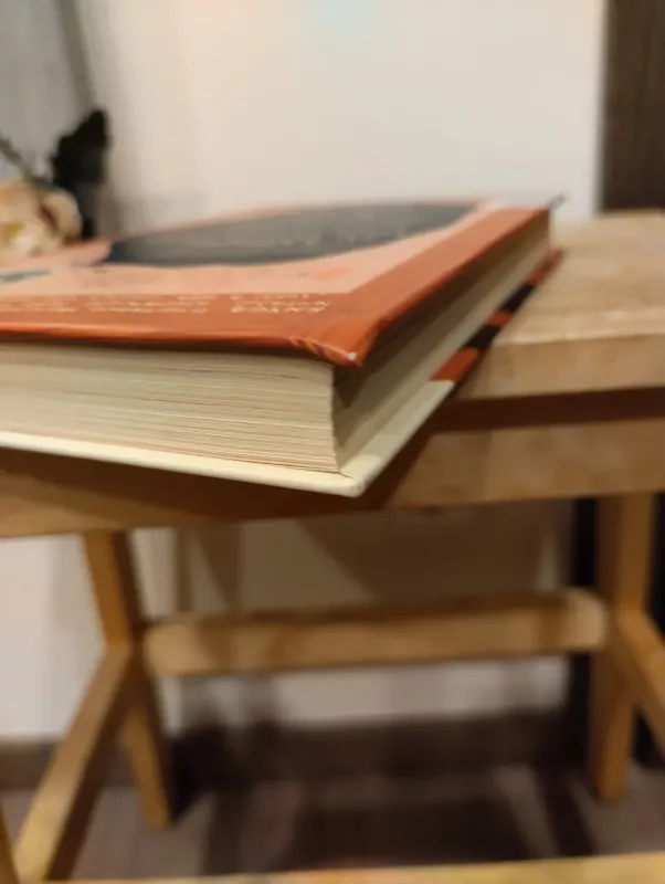 A komanda ir šuo už milijoną. Pirmas nuotykis - Tomas Dirgėla, knyga 4