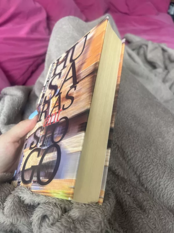 Husaras ant stogo - Jean Giono, knyga 5