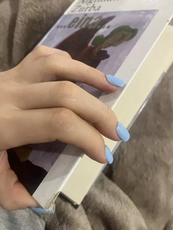 Eina - Algimantas Zurba, knyga 5