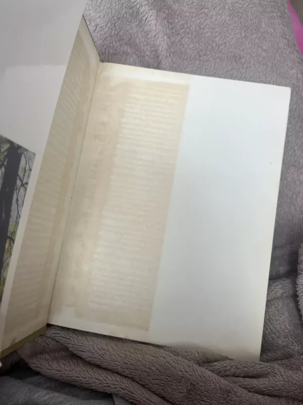 Čiurlioniui 100 - Autorių Kolektyvas, knyga 3