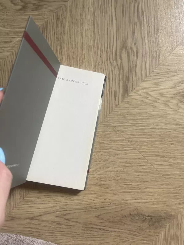 Ir kaip akmens tyla - Jonas Balčius, knyga 3