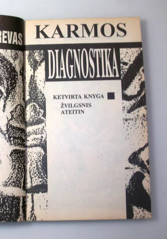 Karmos diagnostika (4 knyga): Žvilgsnis ateitin - Sergėjus Lazarevas, knyga 6