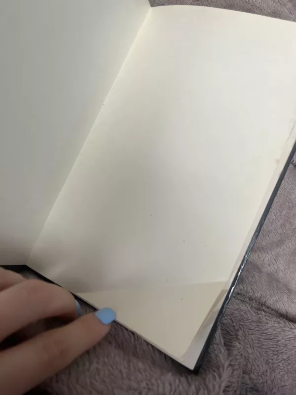 Cezaris Bordžija - Haris Šefas, knyga 4