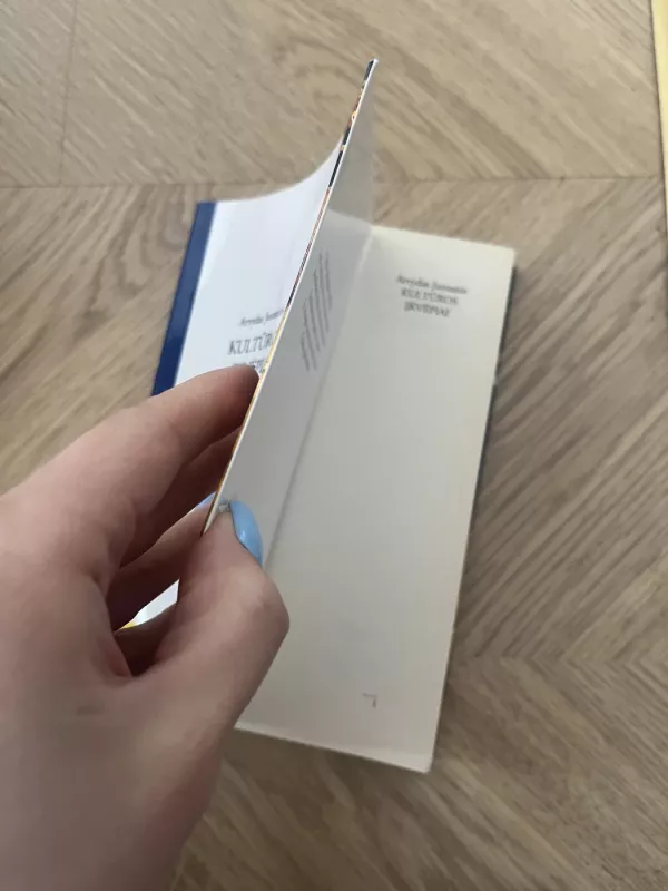 Kultūros įkvėpiai - Arvydas Juozaitis, knyga 3