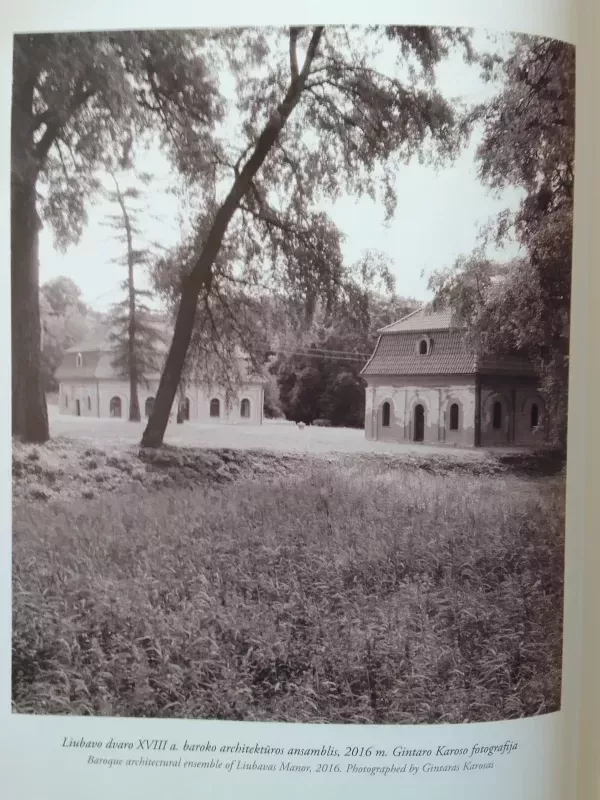 Liubavas. Rapolas Slizienis - Autorių Kolektyvas, knyga 5