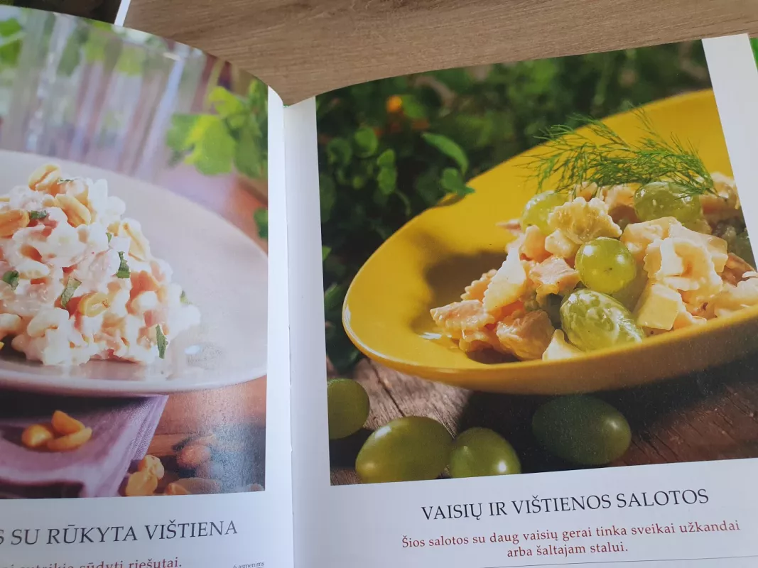 Salotos - Birutė Babravičienė, Dalia Daugirdienė, knyga 6