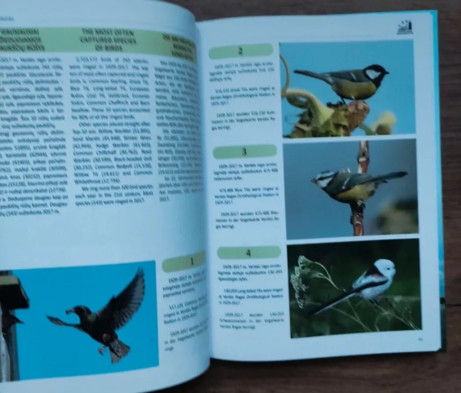 Ventės ragas: ornitologinė stotis - Vytautas Jusys, Leonas Jezerskas  , knyga 6