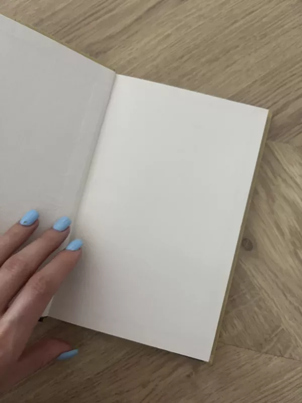 Vilniaus verbos - Juozas Kudirka, knyga 3