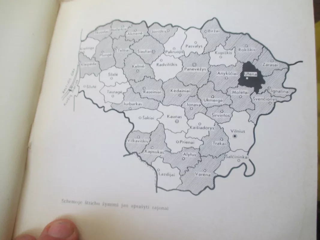 Utenos rajonas - Romualdas Valančiūnas, knyga 6