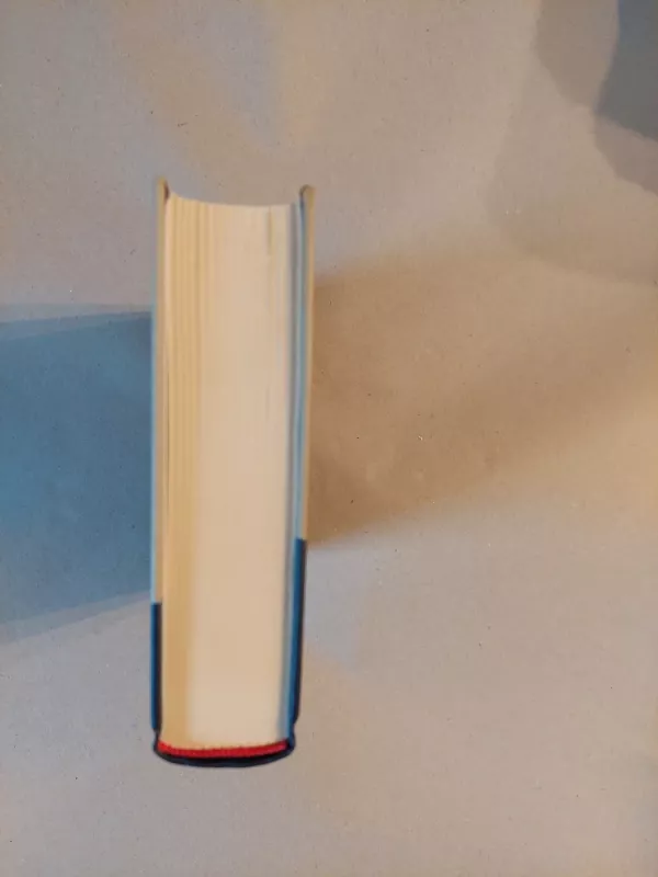 Vienišų moterų meilė - Vytautas Čepas, knyga 4