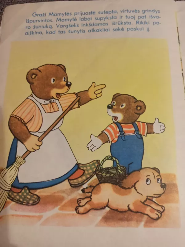 Rikiki nuotykiai - Autorių Kolektyvas, knyga 3