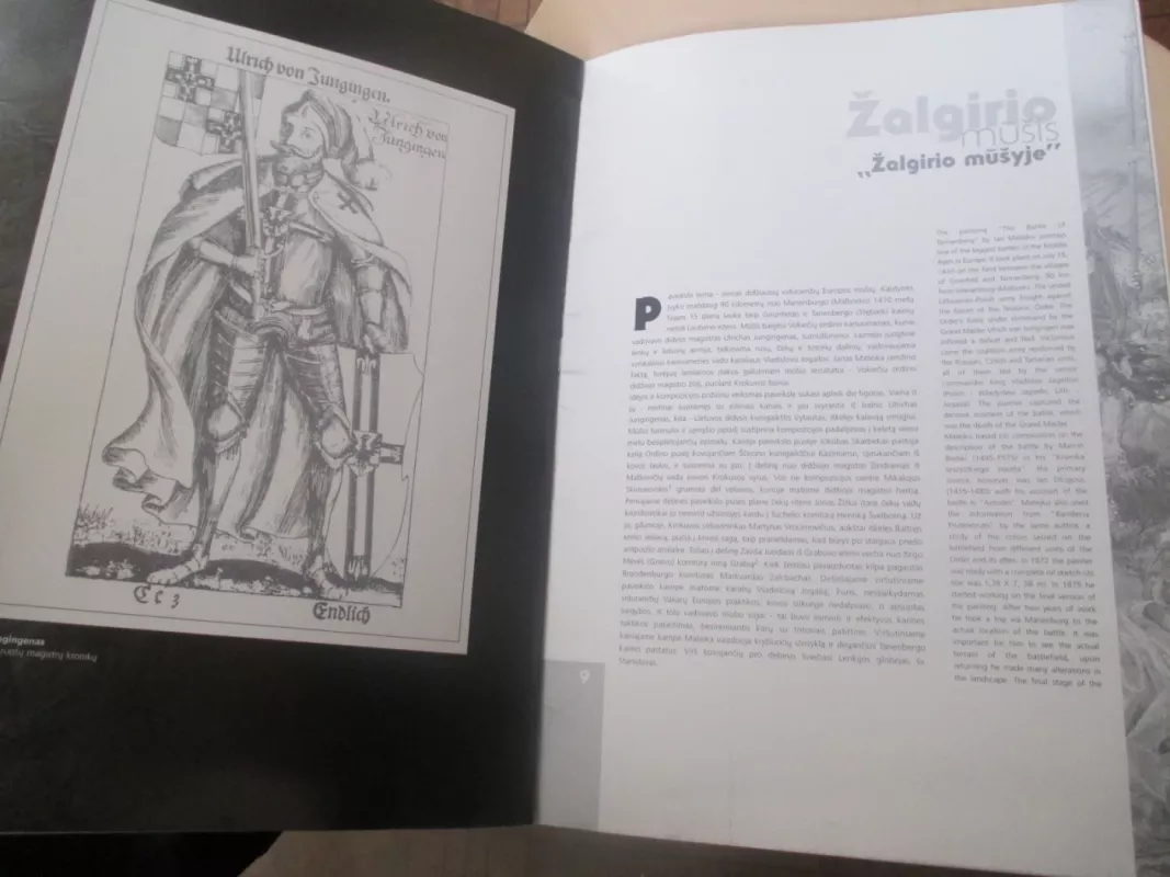 ,,ŽALGIRIO MŪŠIS'' - Romualdas Budrys, knyga 6