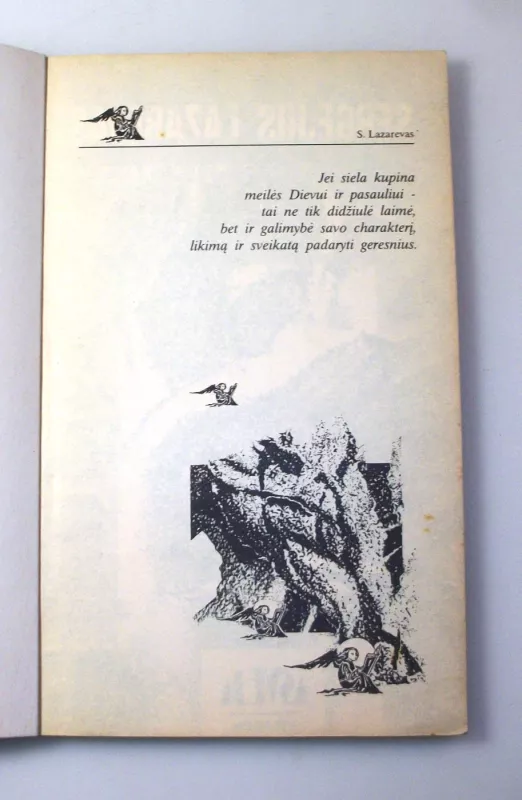 Karmos diagnostika (4 knyga): Žvilgsnis ateitin - Sergėjus Lazarevas, knyga 5