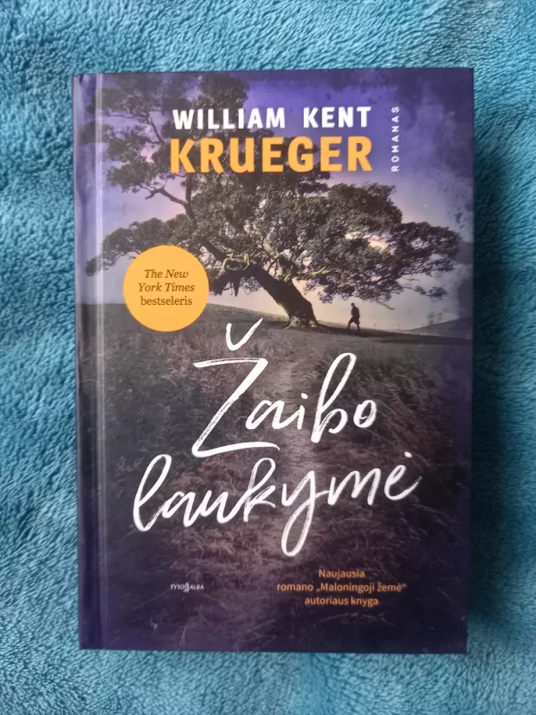 Žaibo laukymė - William Kent Krueger, knyga 2