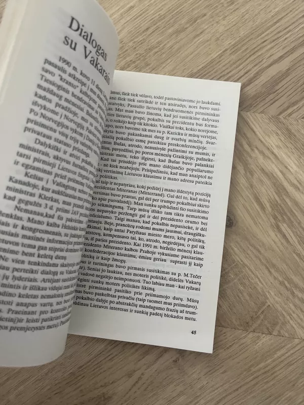 Gintarinės ledi išpažintis - Kazimiera Prunskienė, knyga 3