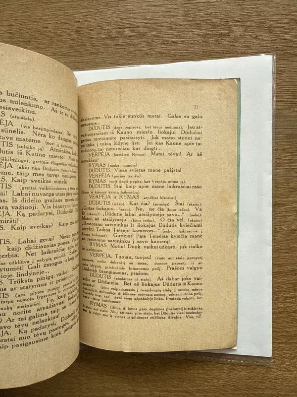 Palaidūnas 1925 m. - Butkų Juzė, knyga 6