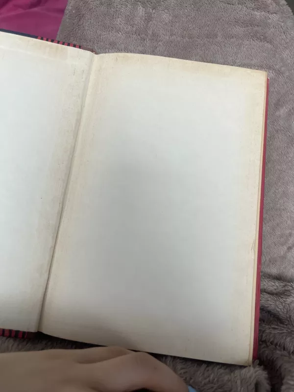 Naujųjų amžių istorijos dėstymas VIII - Autorių Kolektyvas, knyga 3