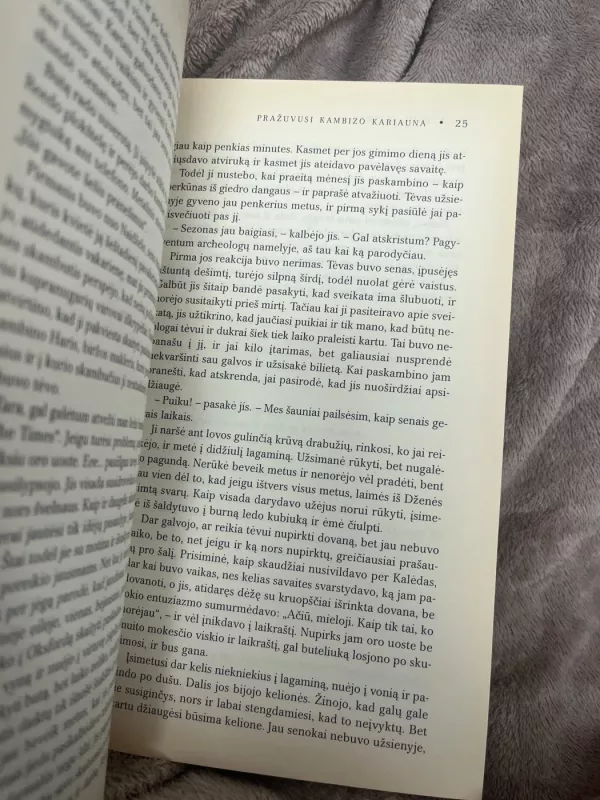 Pražuvusi Kambizo kariauna - Paul Sussman, knyga 4