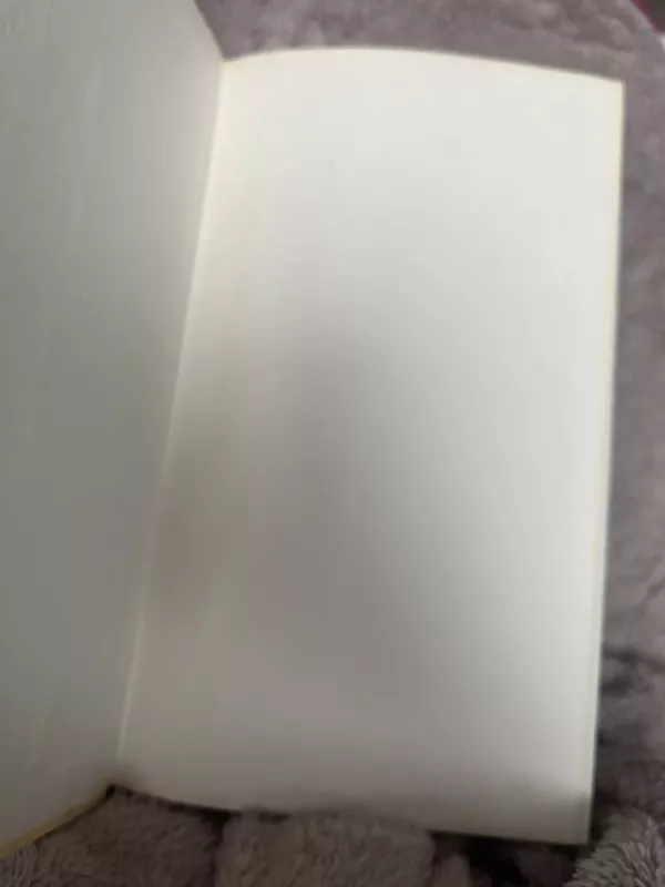 Poezijos pavasaris 1990 - Autorių Kolektyvas, knyga 3