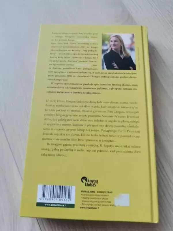 Nelengvu keliu - Šepetys Ruta, knyga 3