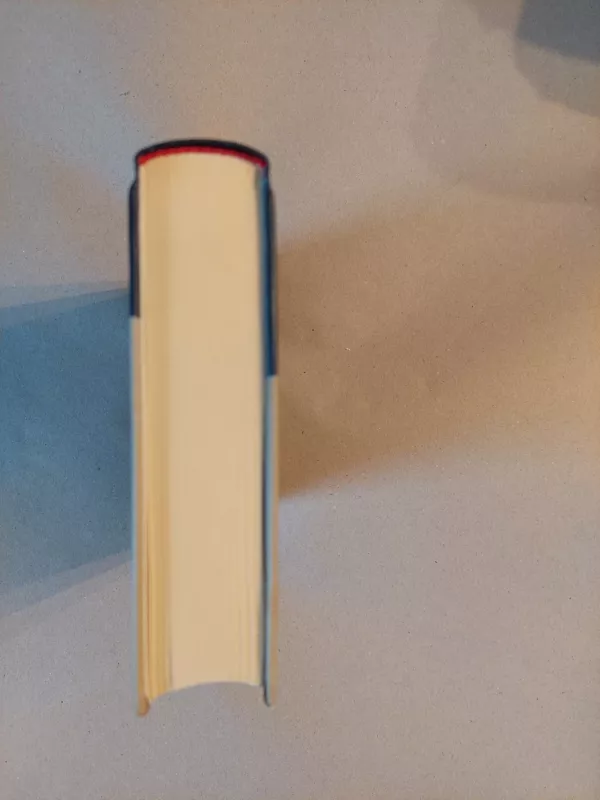 Vienišų moterų meilė - Vytautas Čepas, knyga 5