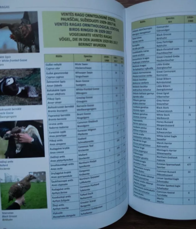 Ventės ragas: ornitologinė stotis - Vytautas Jusys, Leonas Jezerskas  , knyga 4