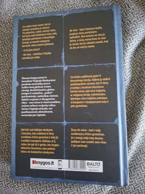 Jis vadina mane mama - Virginija Rimkuvienė, knyga 3