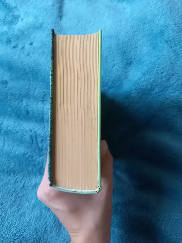 Kur baigiasi upė - Nora Roberts, knyga 4