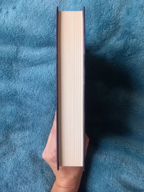 Žaibo laukymė - William Kent Krueger, knyga 3