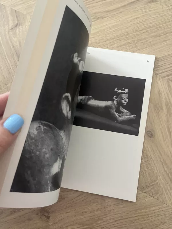 Adelaida Pologova - Lebedev, knyga 3