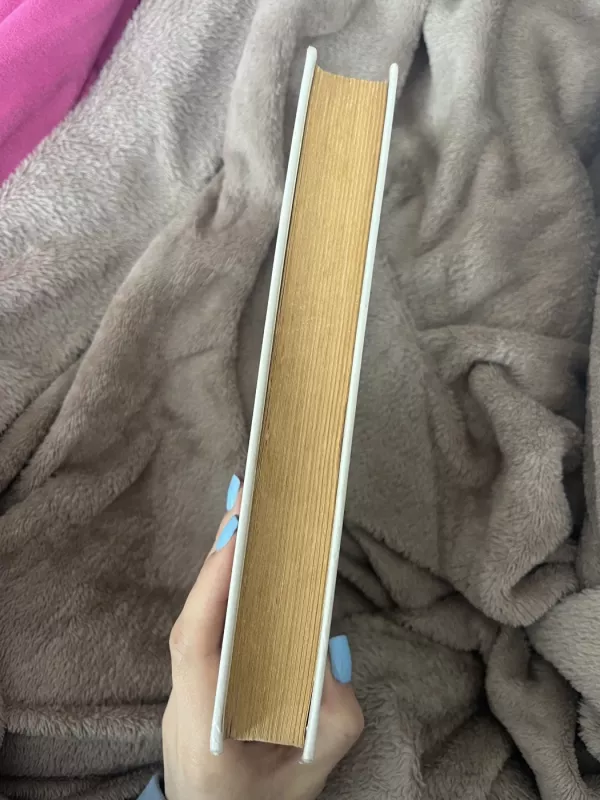 Pilkoji pelytė - Fern Michaels, knyga 6