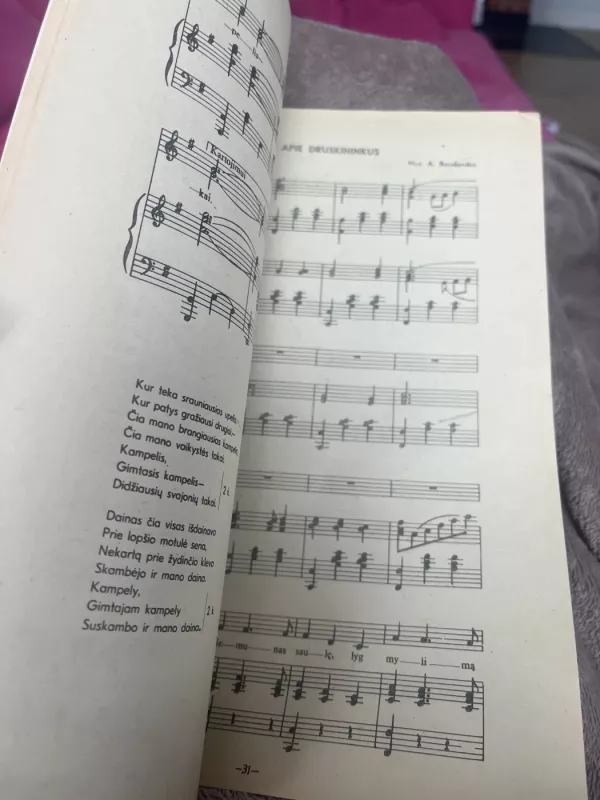 Žiburiai - Autorių Kolektyvas, knyga 4