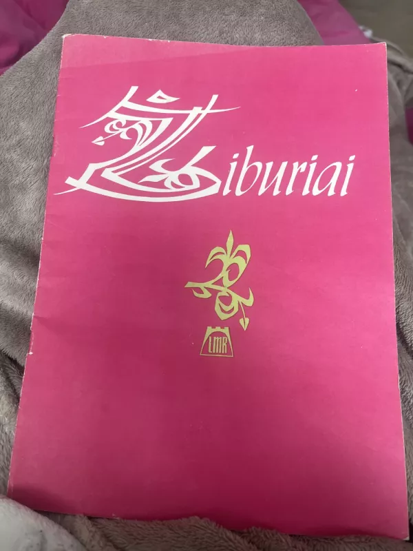 Žiburiai - Autorių Kolektyvas, knyga 2