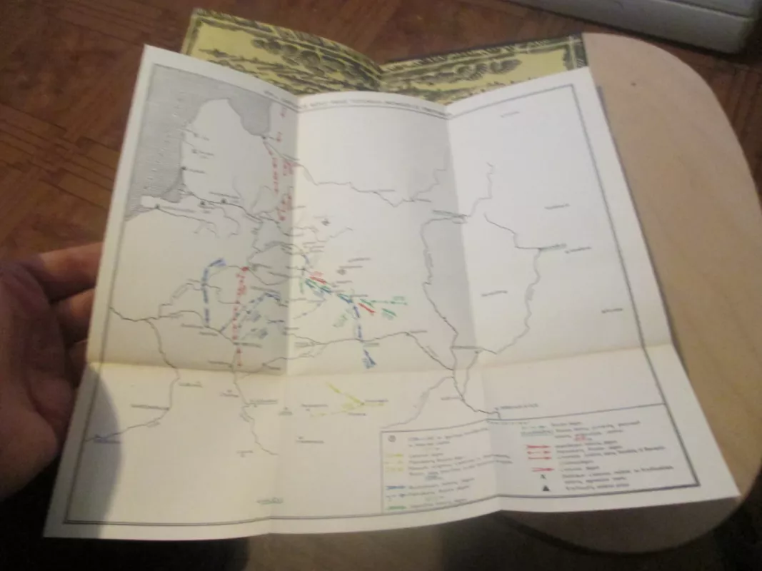 Lietuva tautų kovoje prieš Aukso ordą - Romas Batūra, knyga 6