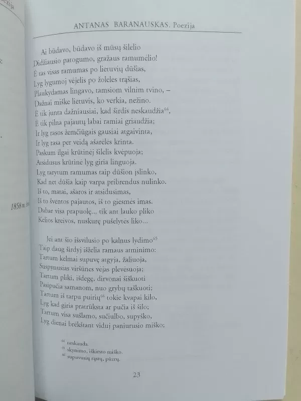 Antanas Baranauskas. Poezija - Antanas Baranauskas, knyga 5